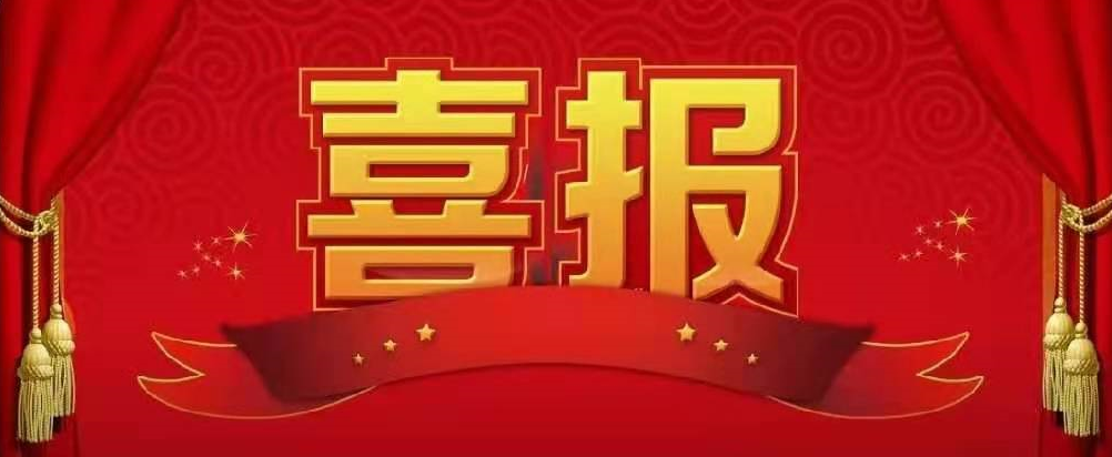 我司党支部荣获金门路街道“优秀新经济组织、新社会组织”党组织荣誉称号